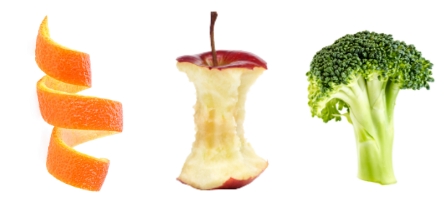Grind everyday food scraps